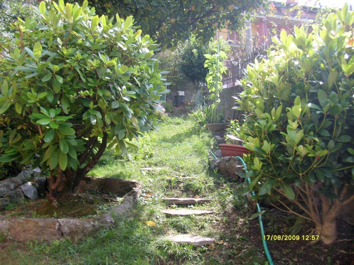Appartement House Yanina à Bellano Extérieur photo